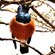 25. Lake Manyara  7-04